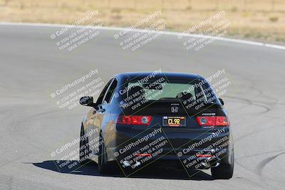media/Nov-03-2023-Club Racer Events (Fri) [[fd9eff64e3]]/Yellow/Back Shots/